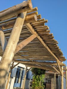 Pergola eucalyptus en rondins serrés